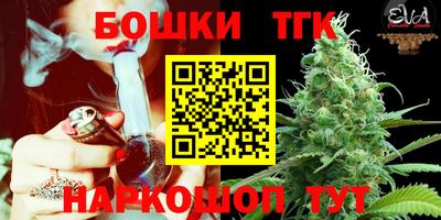 гидра Гагарин