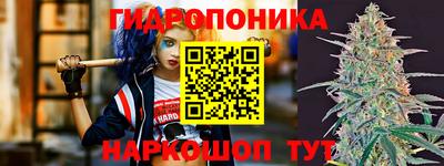дживик Гатчина