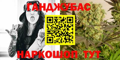 гидра Гагарин