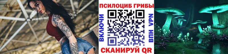 Галлюциногенные грибы Psilocybe  магазин продажи   Абинск 