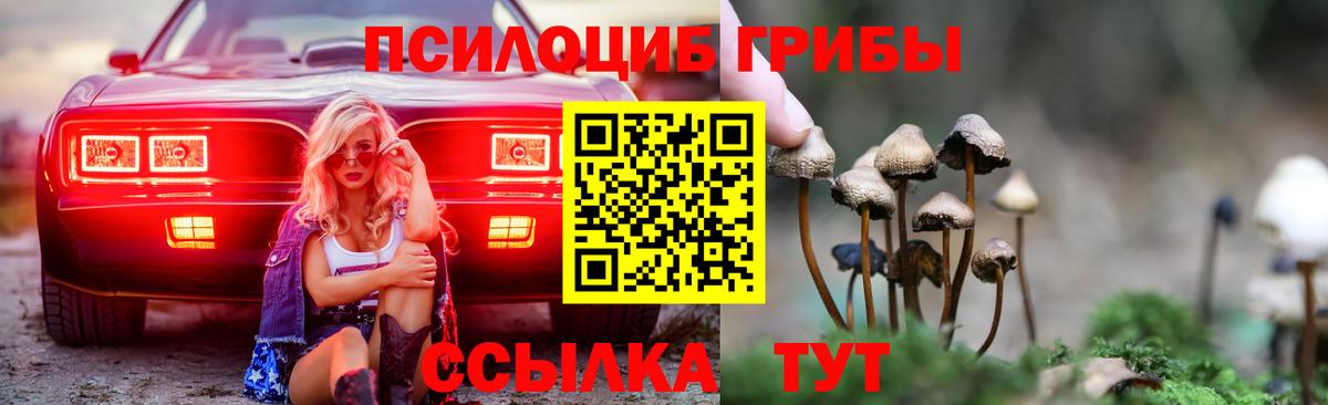 Абинск  Псилоцибиновые грибы Psilocybine cubensis  Галлюциногенные грибы GOLDEN TEACHER  где купить   Вход с VPN 